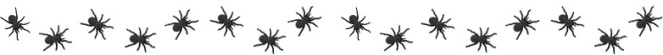 spiders-divider2